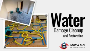 Read more about the article Water Damage Cleanup and Restoration in Tampa
